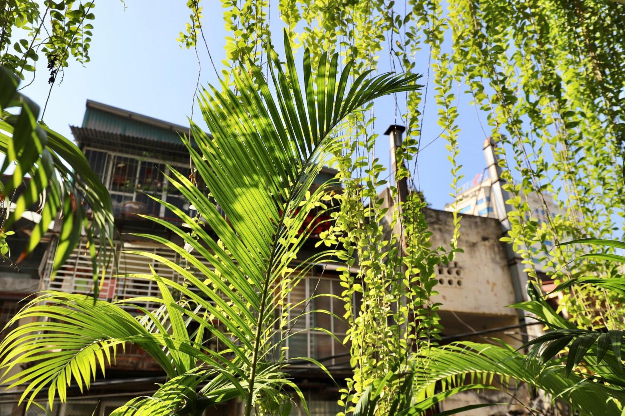 The Garden House Apartment ฮานอย ภายนอก รูปภาพ