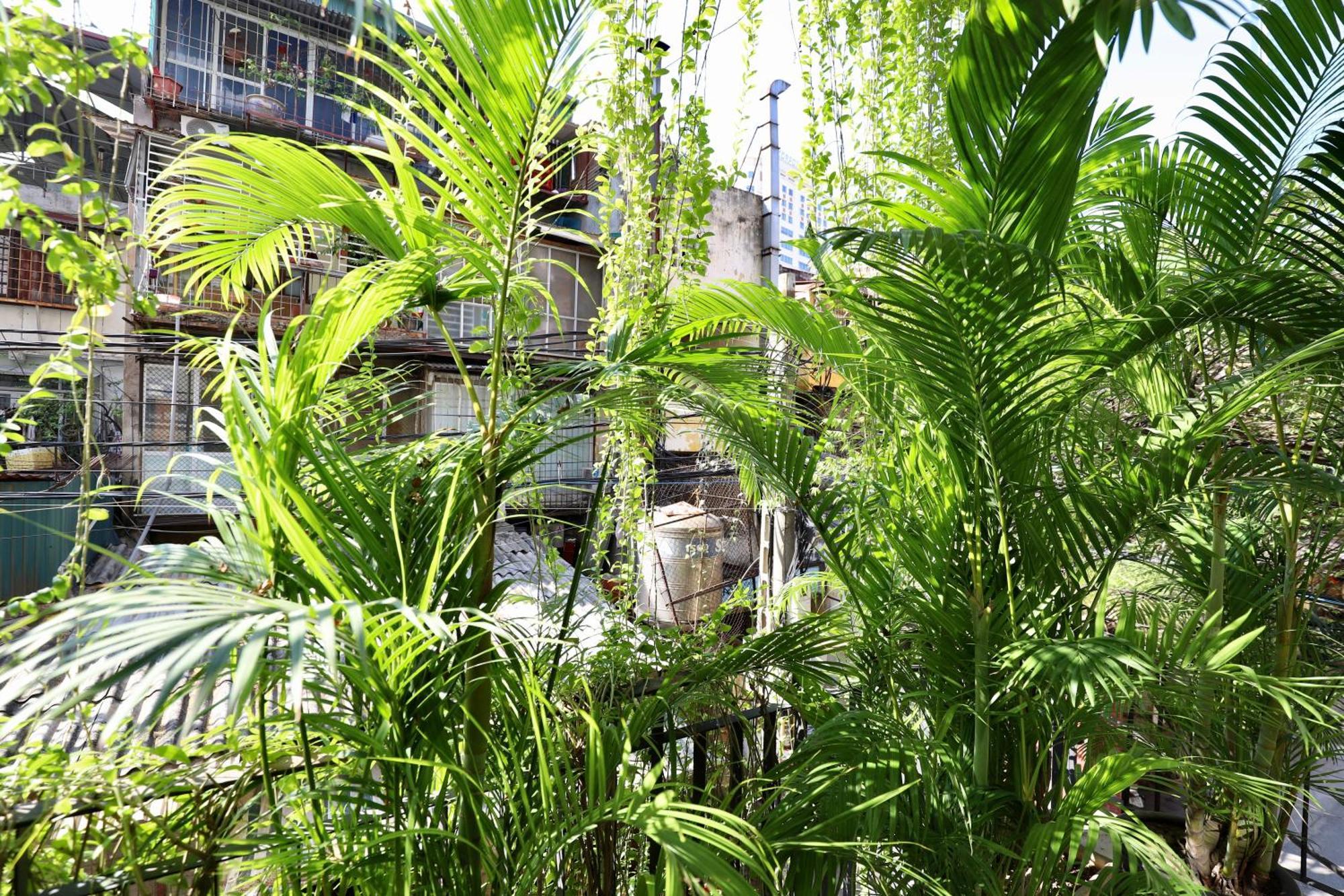 The Garden House Apartment ฮานอย ภายนอก รูปภาพ